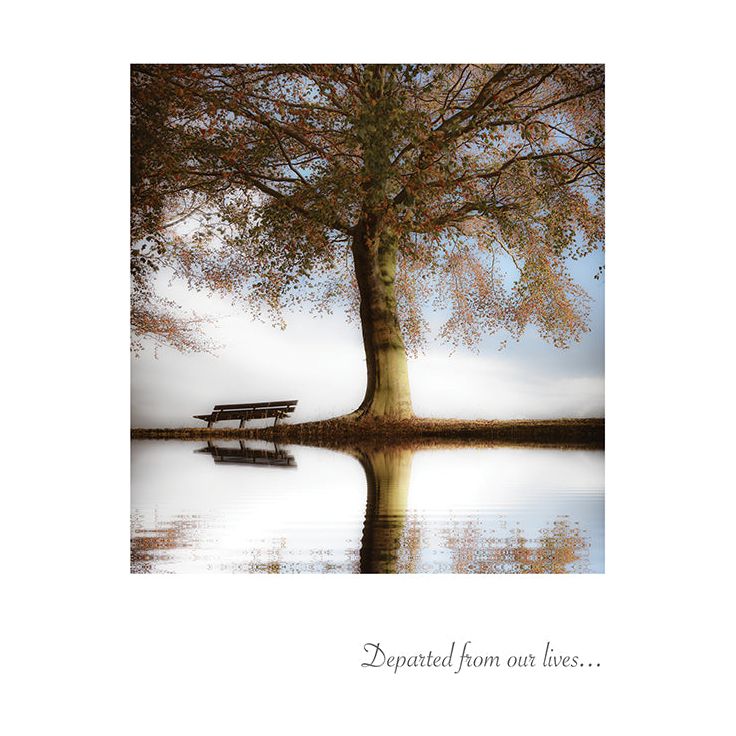 Sympathy Card Bench and Tree - Cardmore